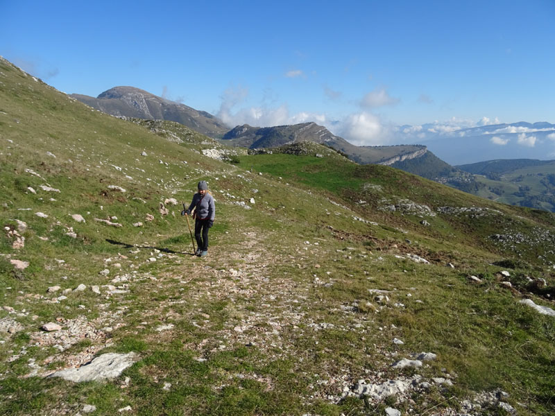 Cima delle Pozzette  m.2132 - Gruppo del Monte Baldo (VR)